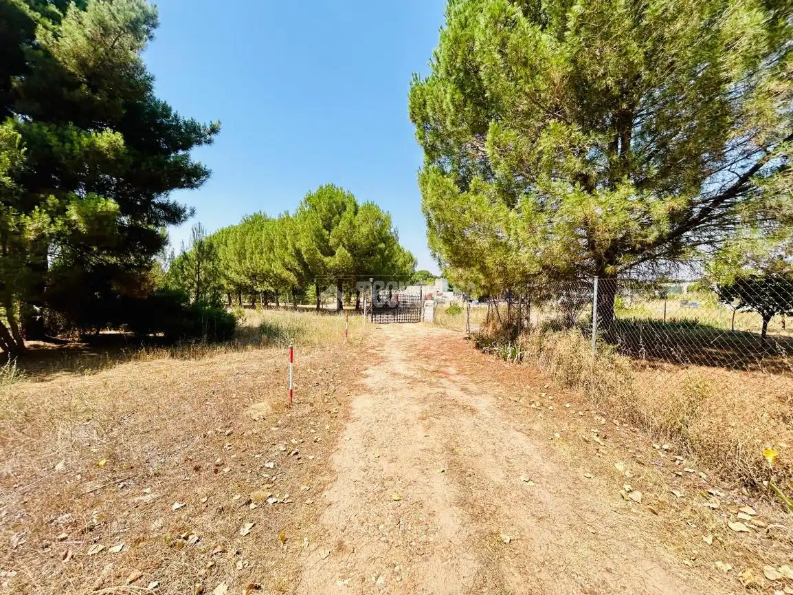 Terreno en venta en La Pedraja de Portillo 