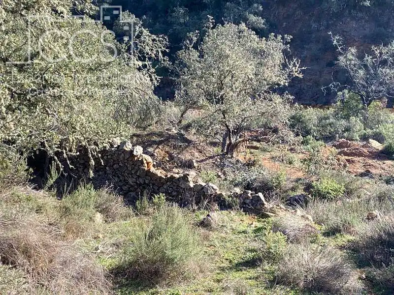 Terreni e lotti in vendita a El Castillo de las Guardas