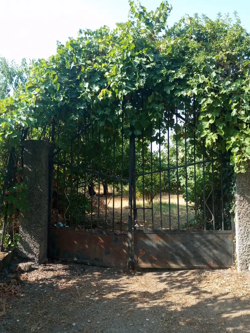 Terreni e lotti in vendita a poligono 3 parcela176, imagen 2