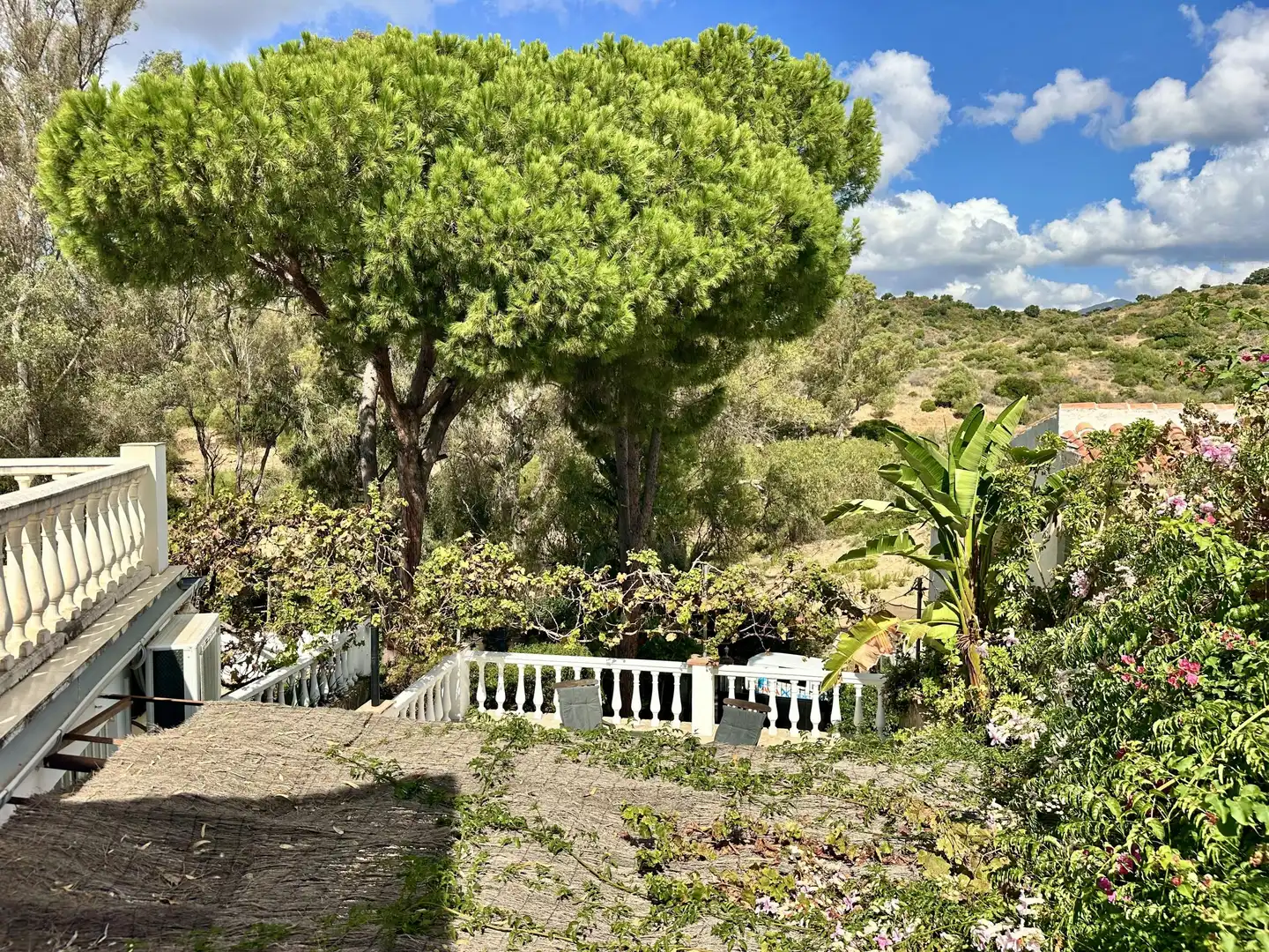 Detached house with pool for sale in 43 Avenida de las Palmas, imagen 46