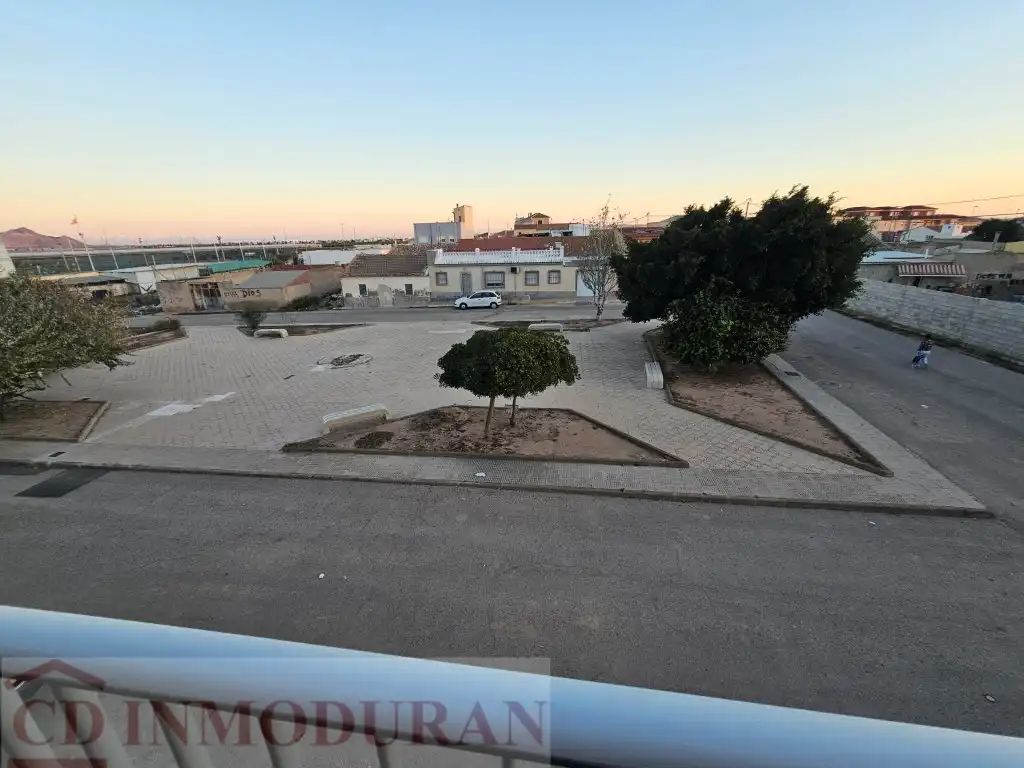 Exterior view of Houses for sale in Torre-Pacheco