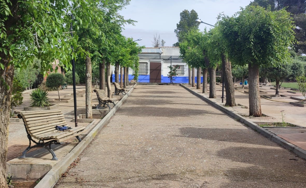 Exterior view of Country house for sale in Campo de Criptana  with Private garden and Swimming Pool