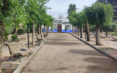 Vista exterior de Finca rústica en venda en Campo de Criptana amb Jardí privat i Piscina