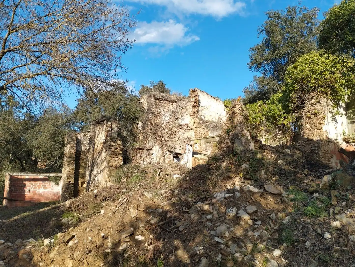 Vista exterior de Finca rústica en venda en Quart