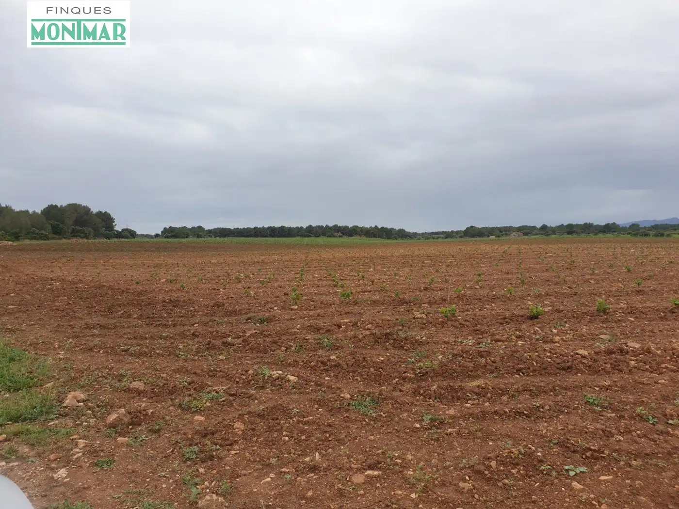 Finca rústica en venda en El Pla de Santa Maria