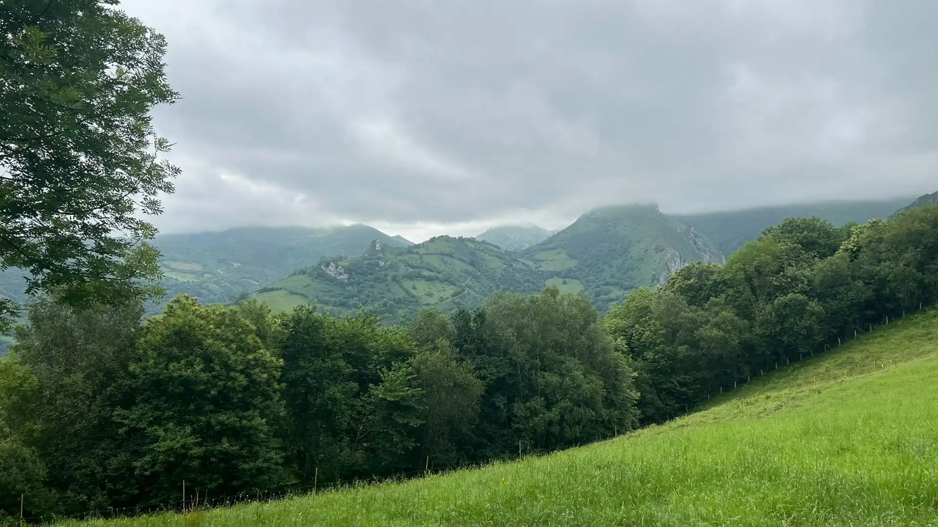 Rural land for sale in Onís, imagen 8