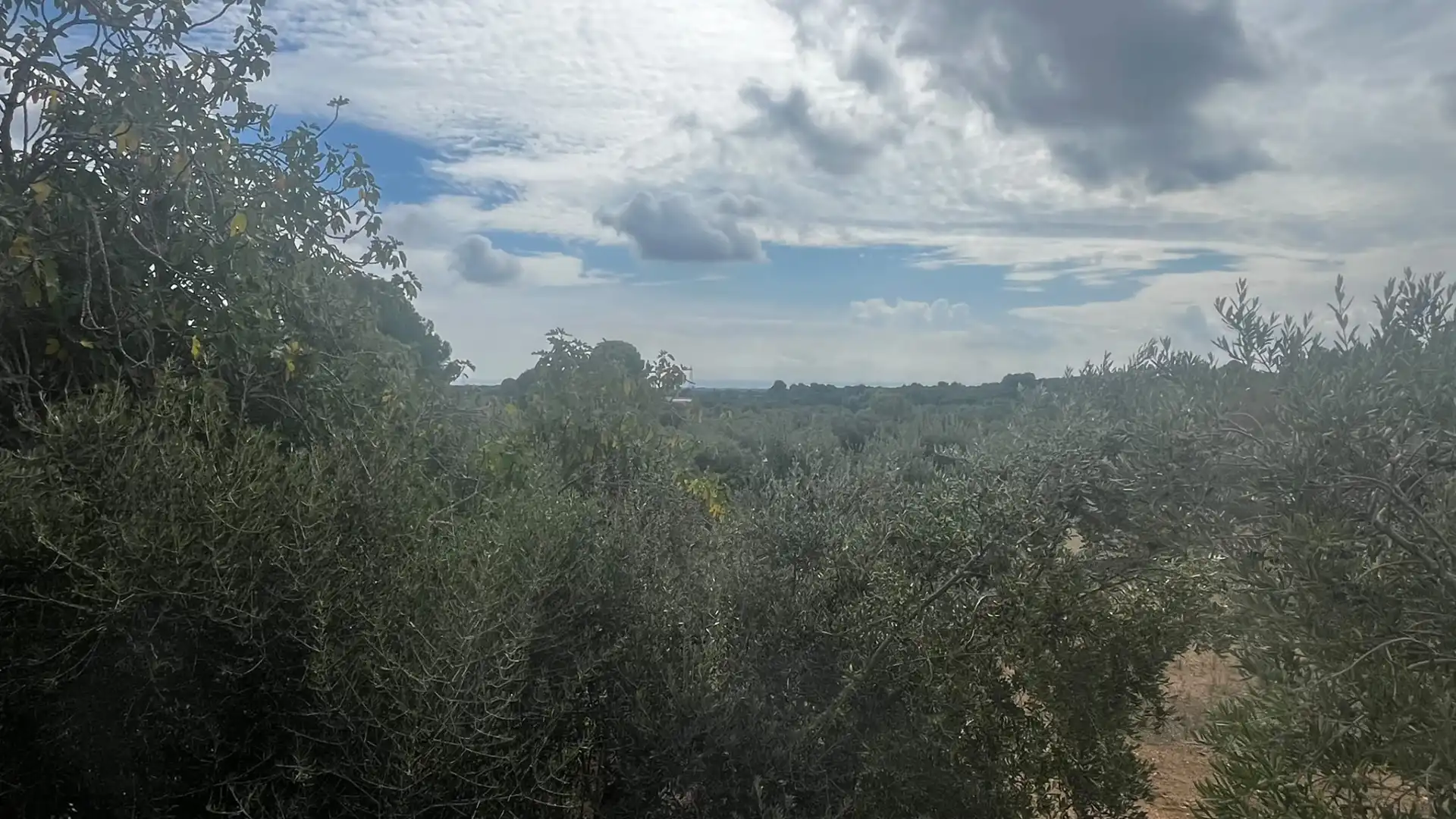 Terreno rustico in vendita a Carrer de Sant Abdó i Sant Senén, imagen 35