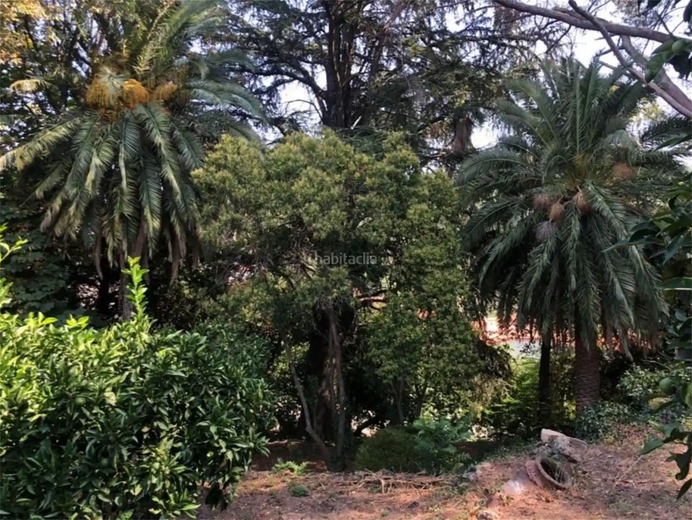 Maison à vendre à Calle de Pedro Hontiveros 5, imagen 8