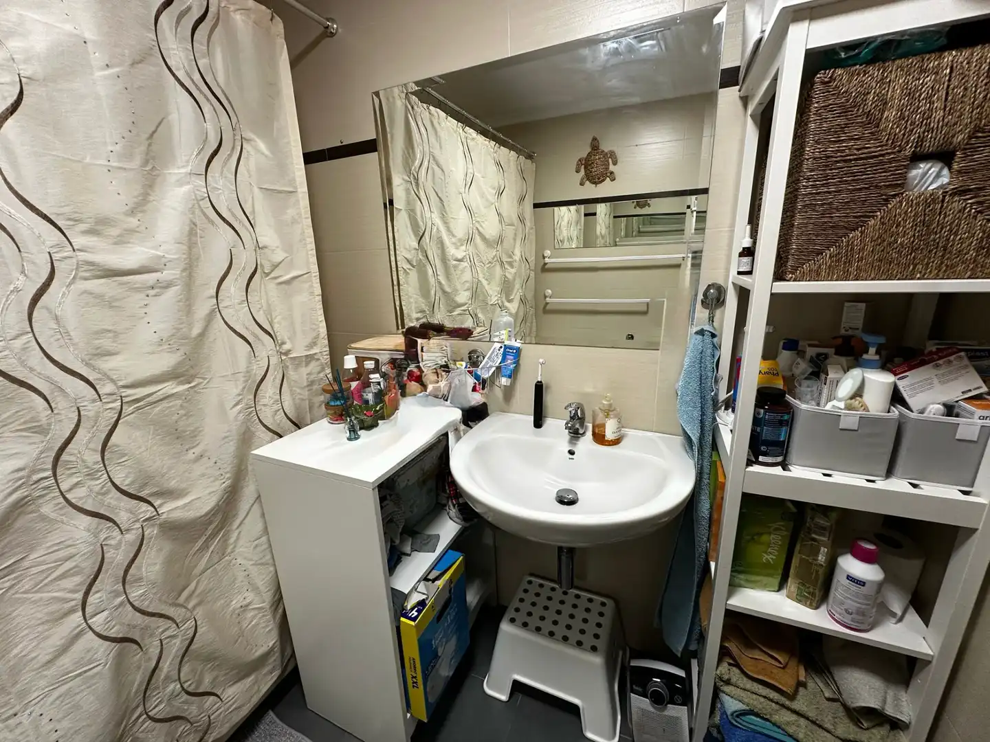 Baño de Casa o chalet en venta en Renedo de Esgueva