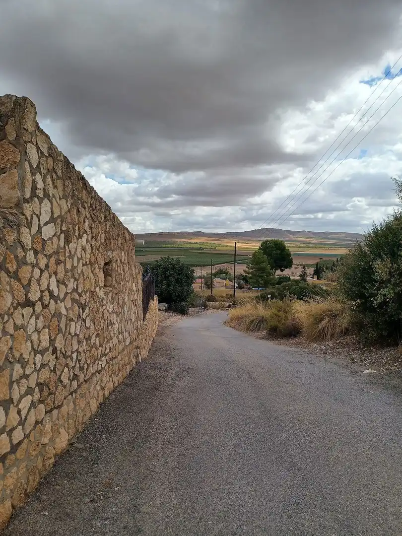 Vista exterior de Finca rústica en venda en Yecla