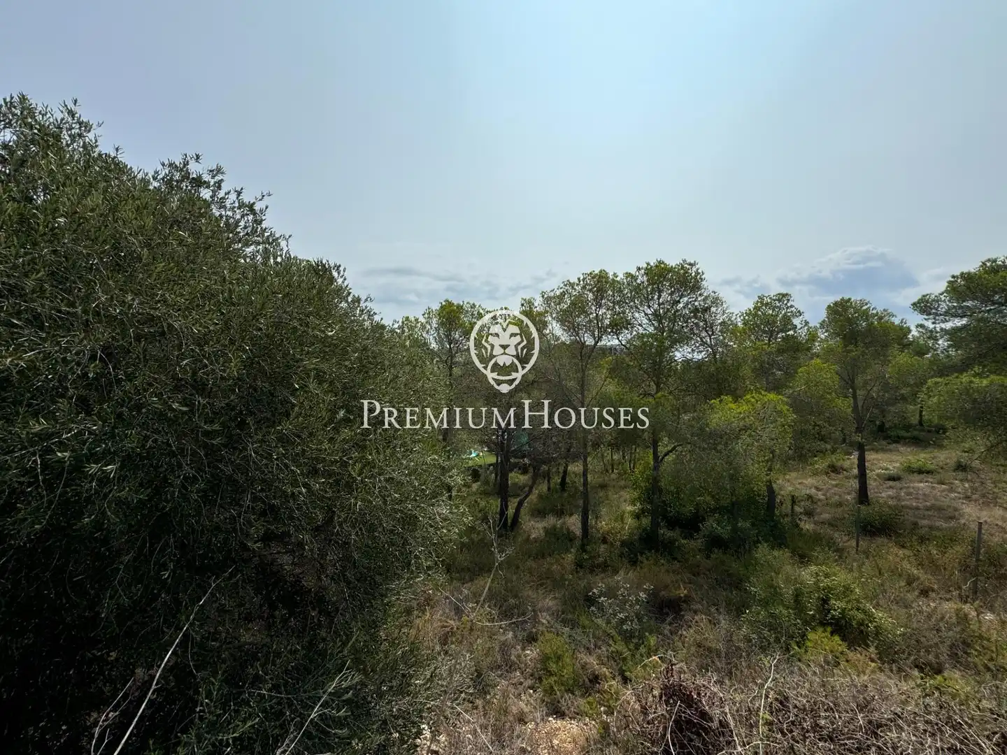 Terreny residencial en venda a Avenida del Camí de Miralpeix, imagen 8