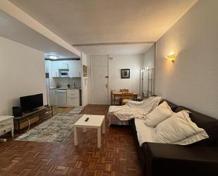 Sala d'estar de Apartament de lloguer en  Pamplona / Iruña amb Terrassa