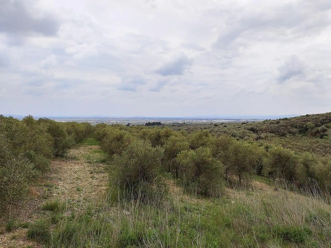 Finca rústica en venta en La Sénia con Terraza