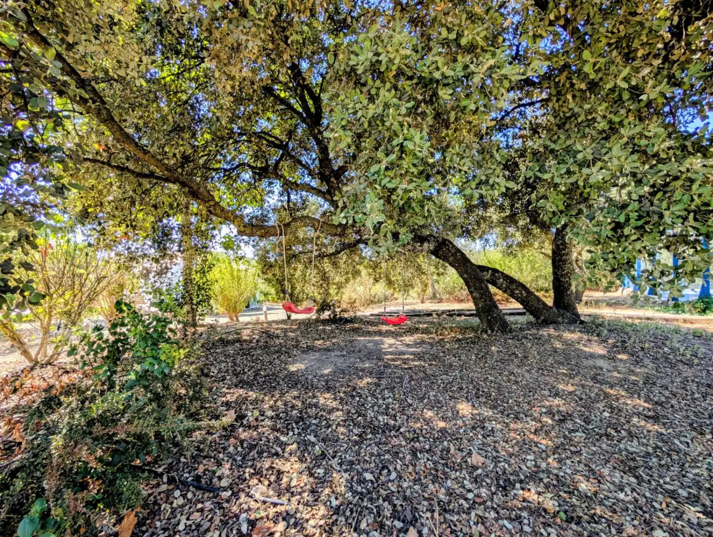 Casa rústica amb piscina en venda a Venta Salinas, imagen 69