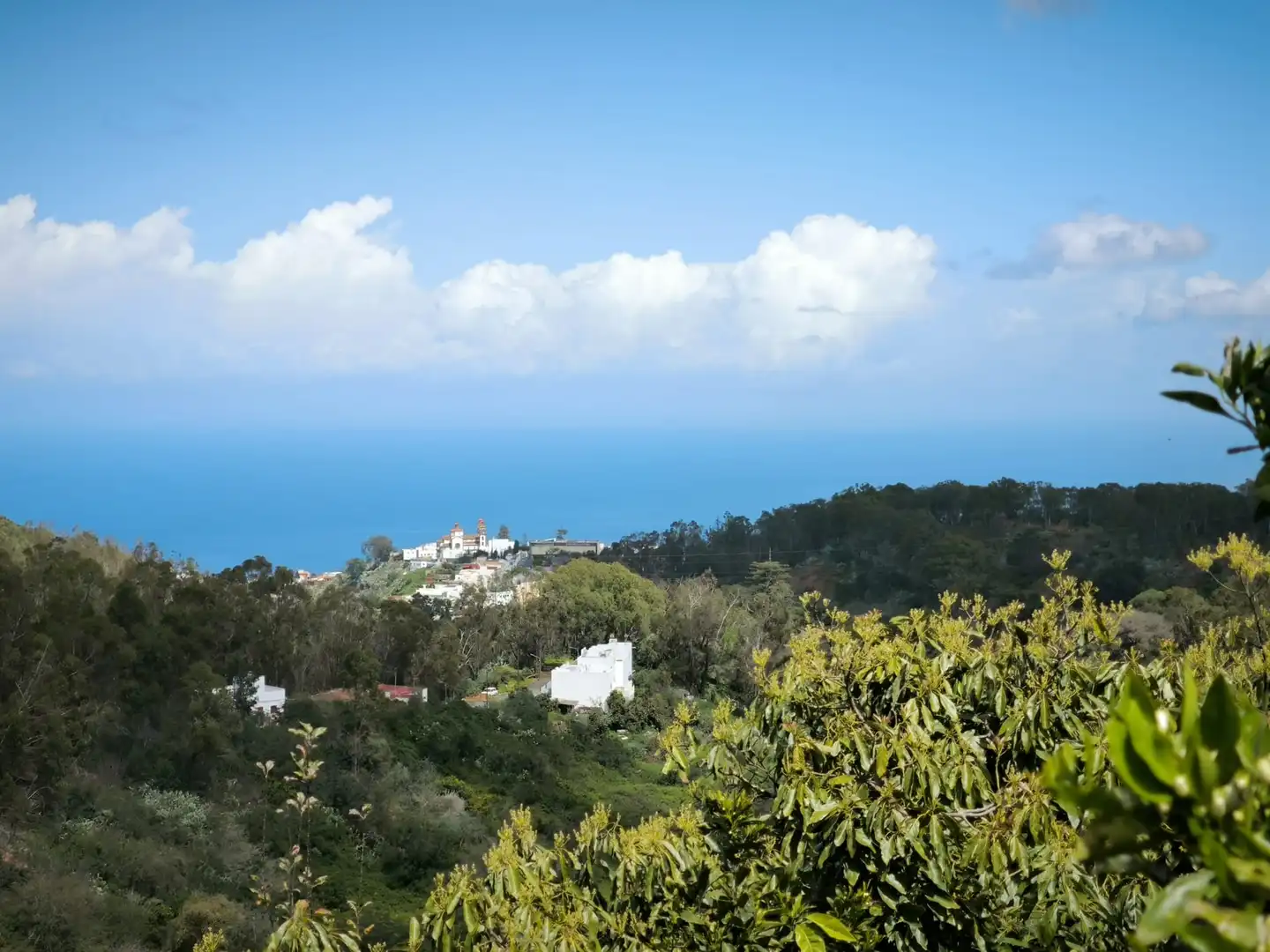 Vista exterior de Finca rústica en venta en Moya (Las Palmas)