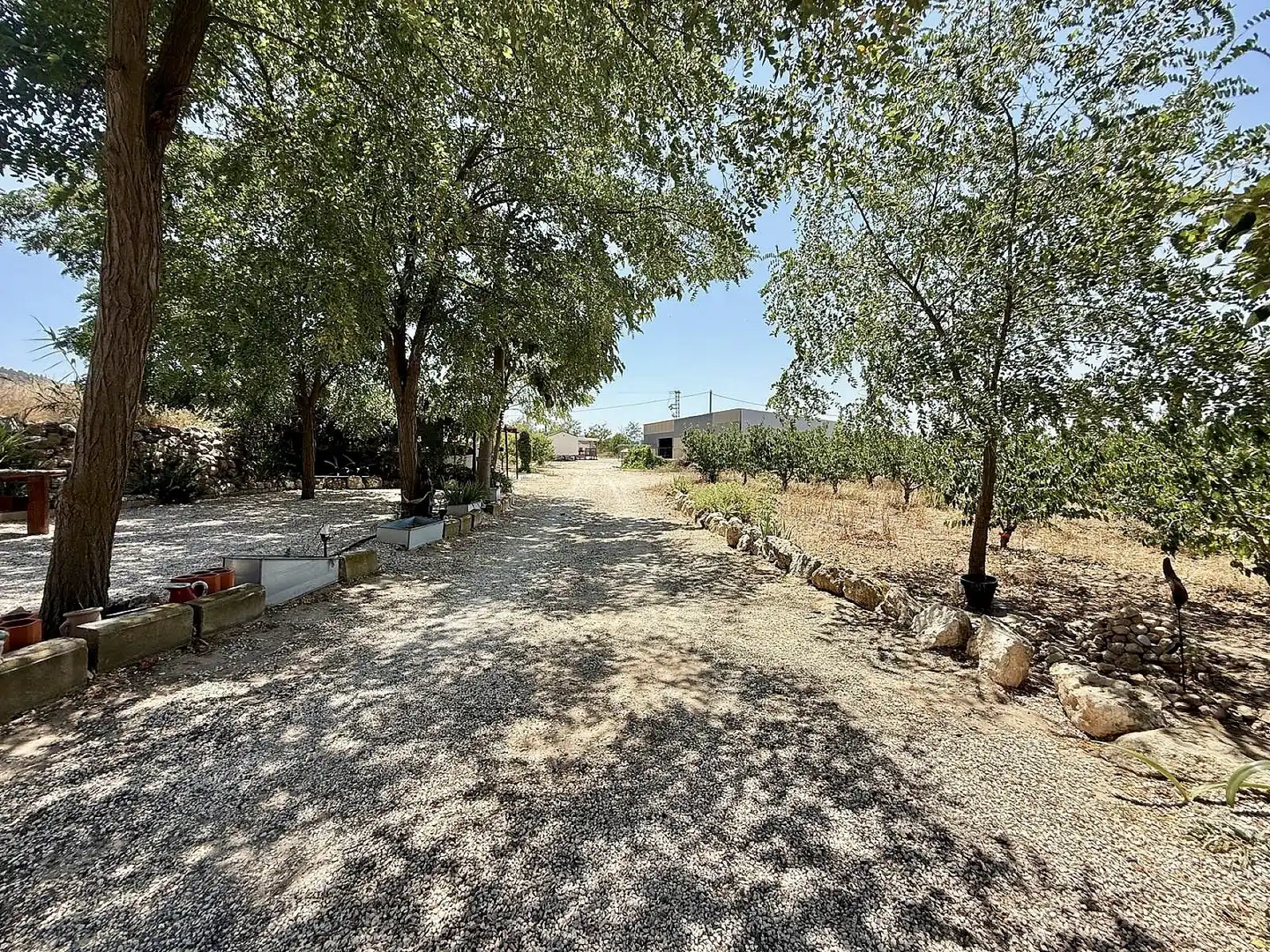 Finca rústica en venda en Villena amb Terrassa