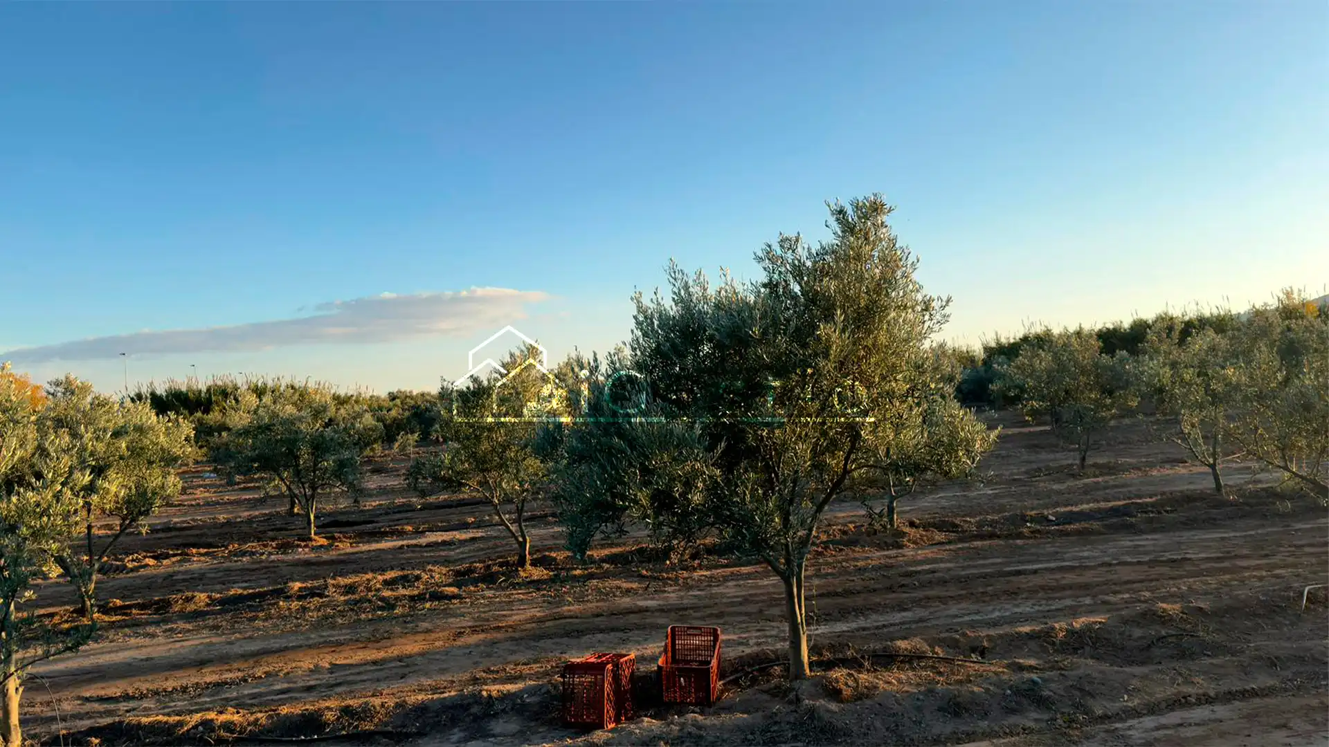 Land for sale in Sant Feliu de Llobregat