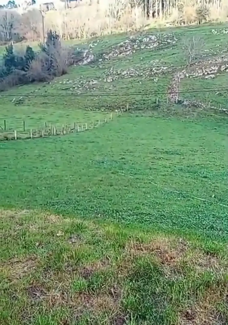 Terreny rústic en venda a Bustablado 0, imagen 2
