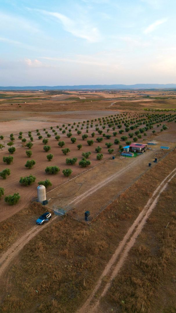 Terreny en venda a Plaza Mártires, 3, Almonacid de Toledo