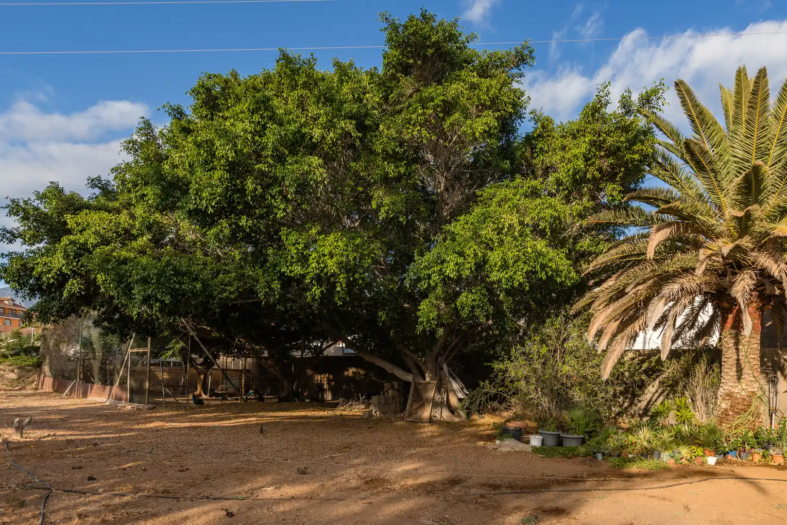 Casa o xalet en venda en Candelaria amb Aire condicionat, Jardí privat i Terrassa