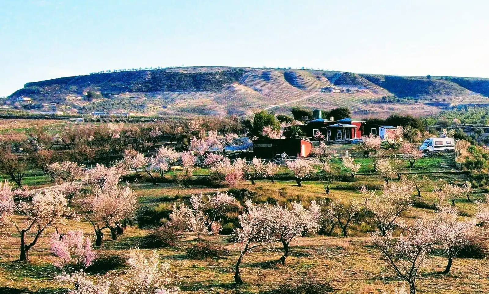 Vista exterior de Casa o chalet en venta en Fornes con Calefacción, Jardín privado y Piscina
