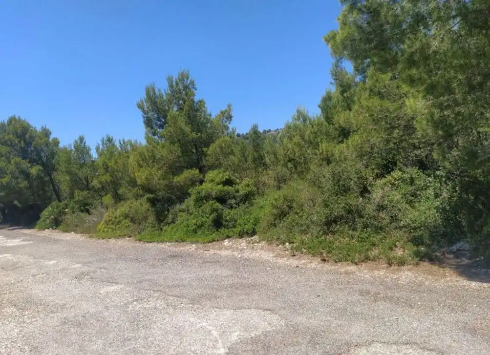 Terrenys i solars en venda a EL PINAR, imagen 6