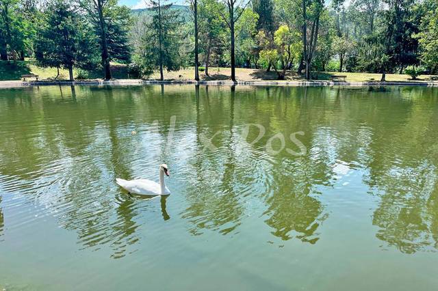 Terreno en Venta en AVENUE DU LAC en Osséja