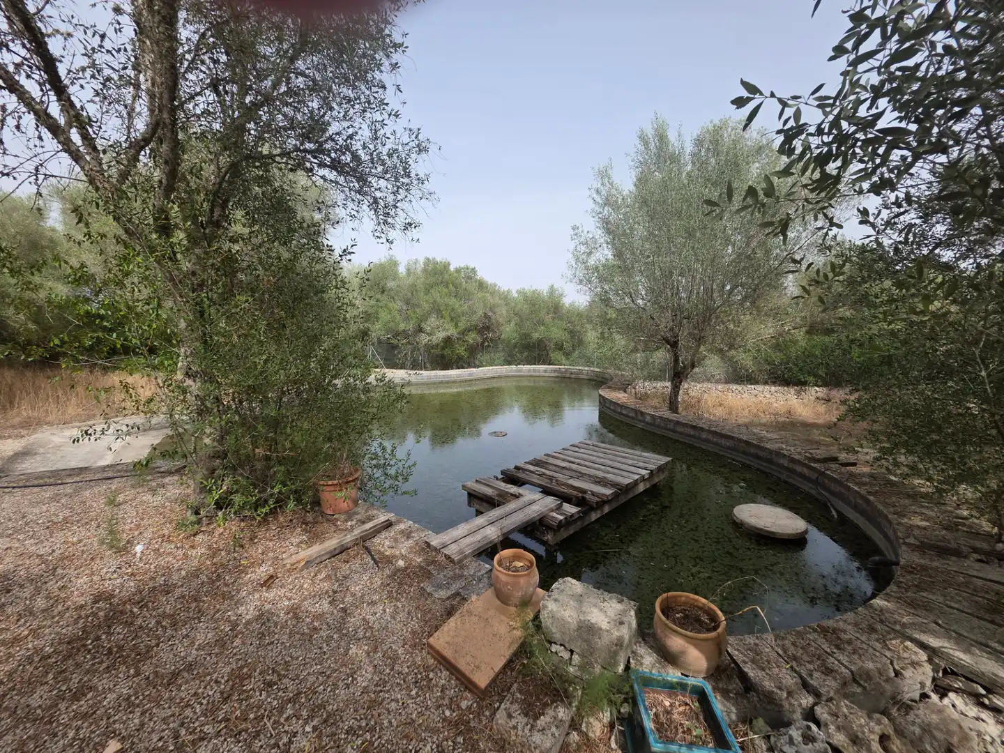 Garden of Country homes for rent in Alaior  with Private garden, Terrace and Swimming Pool