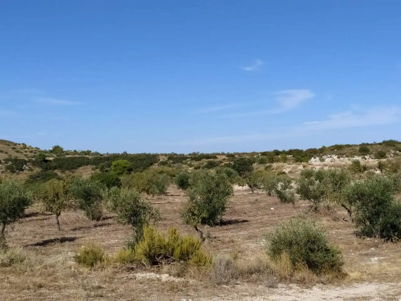 Terreno rústico en venta en Castelldans, imagen 14