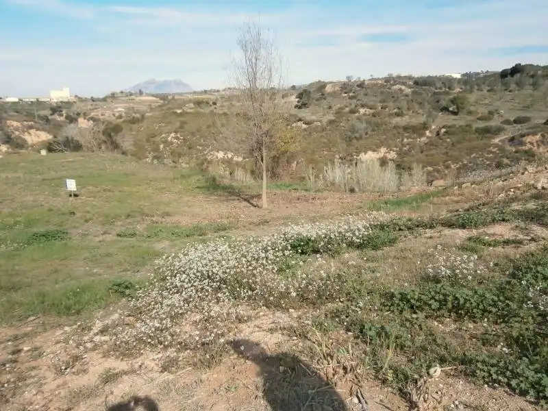 Terrenos y solares en venta en Castellbisbal, imagen 21