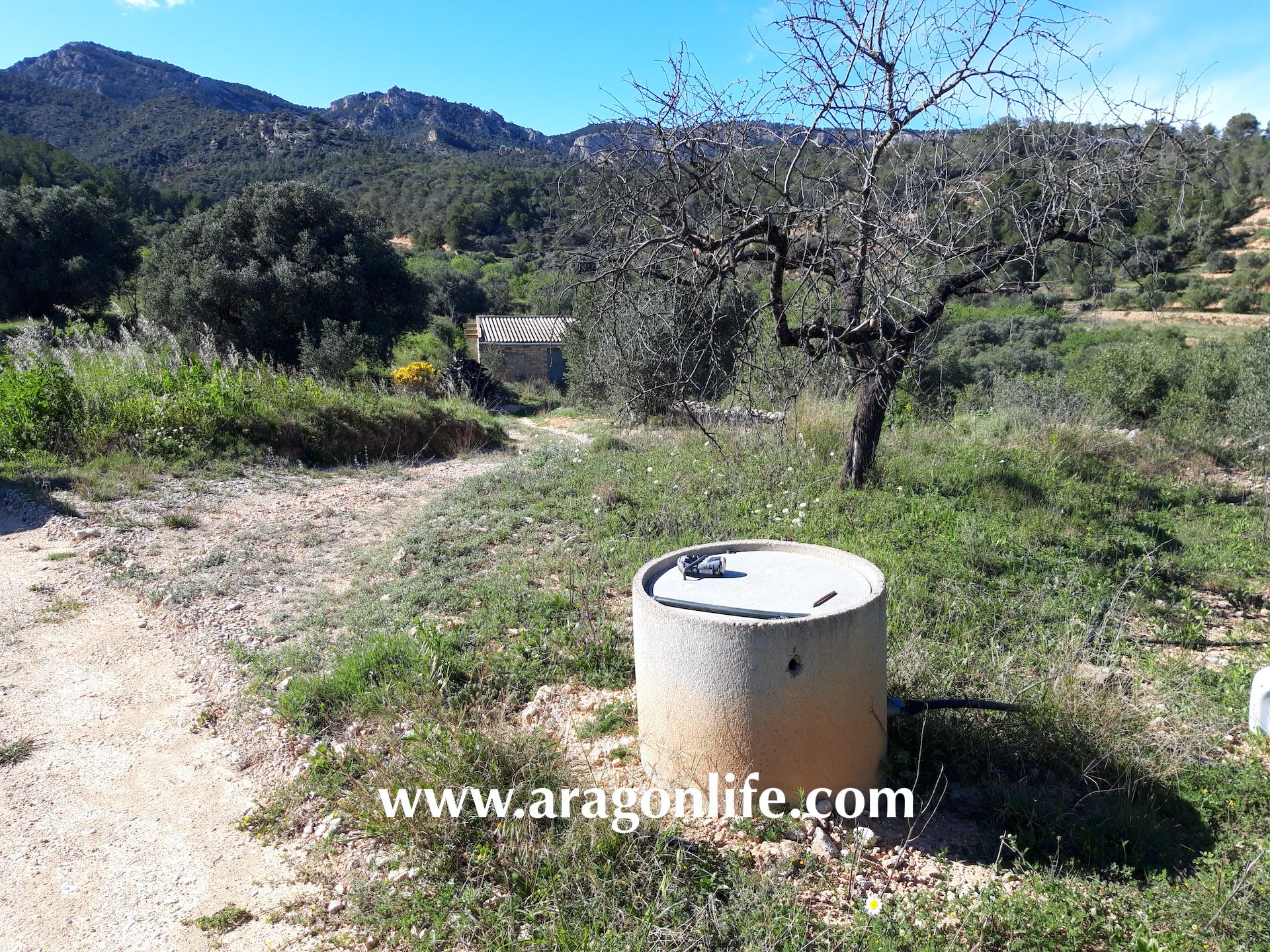 Exterior view of Country house for sale in El Pinell de Brai