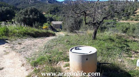 Finca de olivos con caseta, cisterna y agua de riego. 35000€