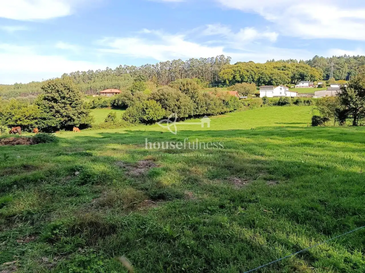 Terreno residenziale in vendita a San Sadurniño