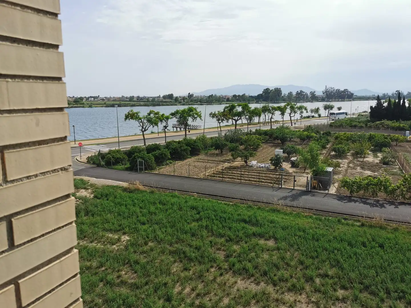 Buildings for sale in Deltebre