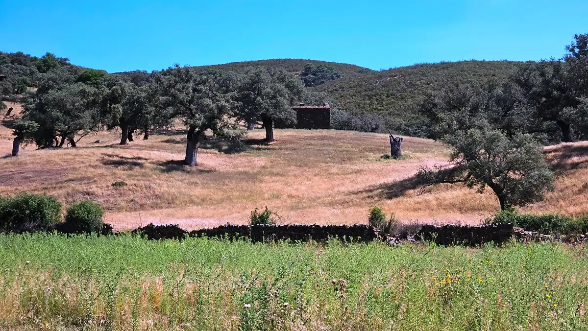 Terrenos y solares en venta en Aracena, imagen 49