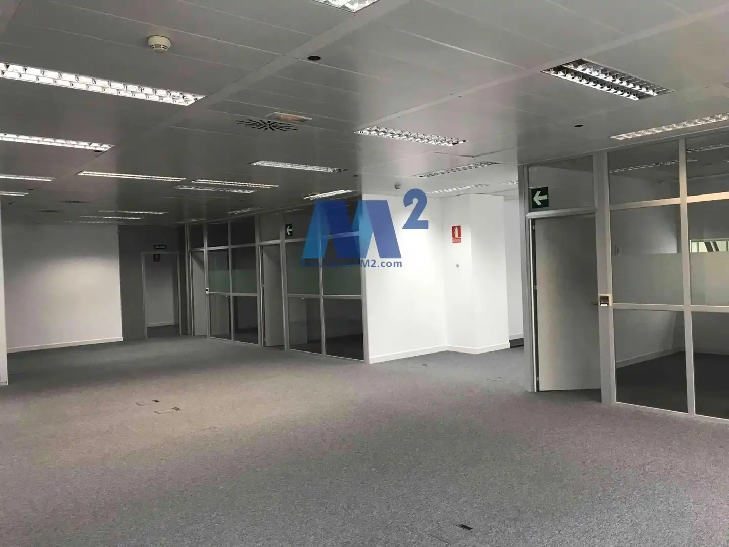 Office space to rent in Anabel Segura, imagen 26