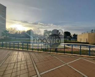 Swimming pool of Study to rent in  Sevilla Capital  with Air Conditioner, Terrace and Furnished