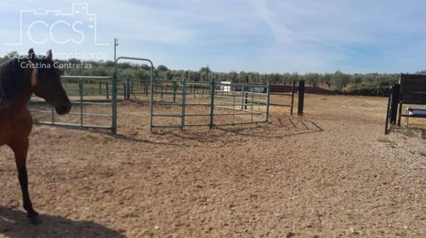 Venta de finca en PROPIEDAD  con 19.535m2 de terreno y 2 cobertizos de tablas de 100 m2 construidos en Almonte, immagine 2