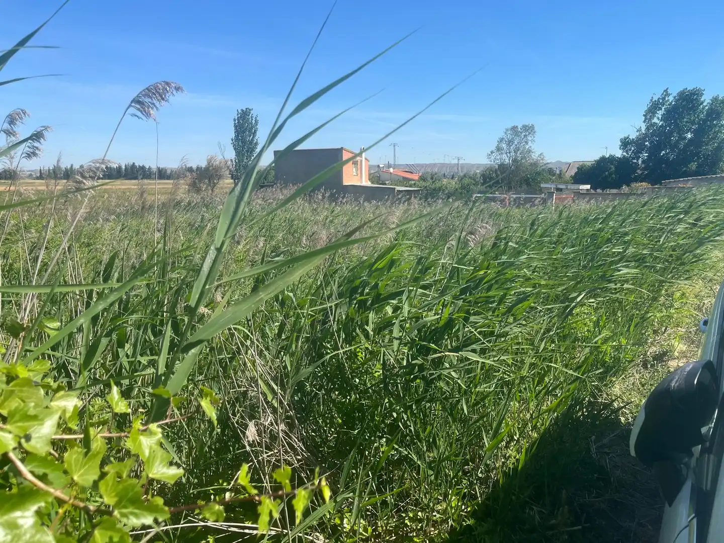 Residencial en venda en Alfajarín