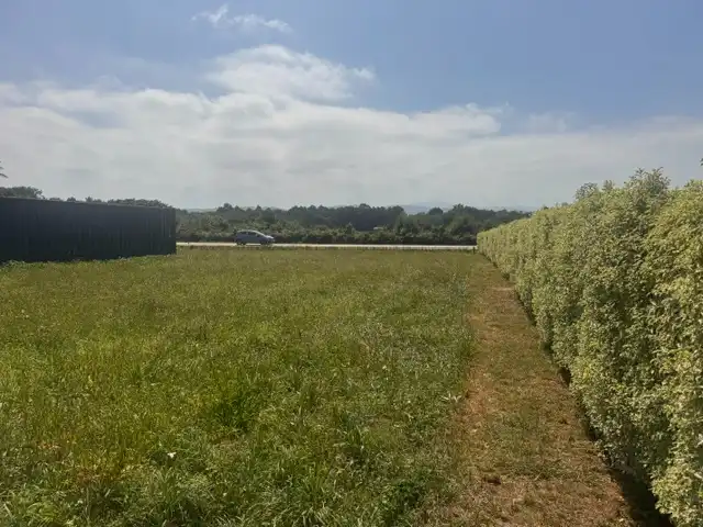 Terrain résidentiel à vendre à Caserio Cortaficio, imagen 10