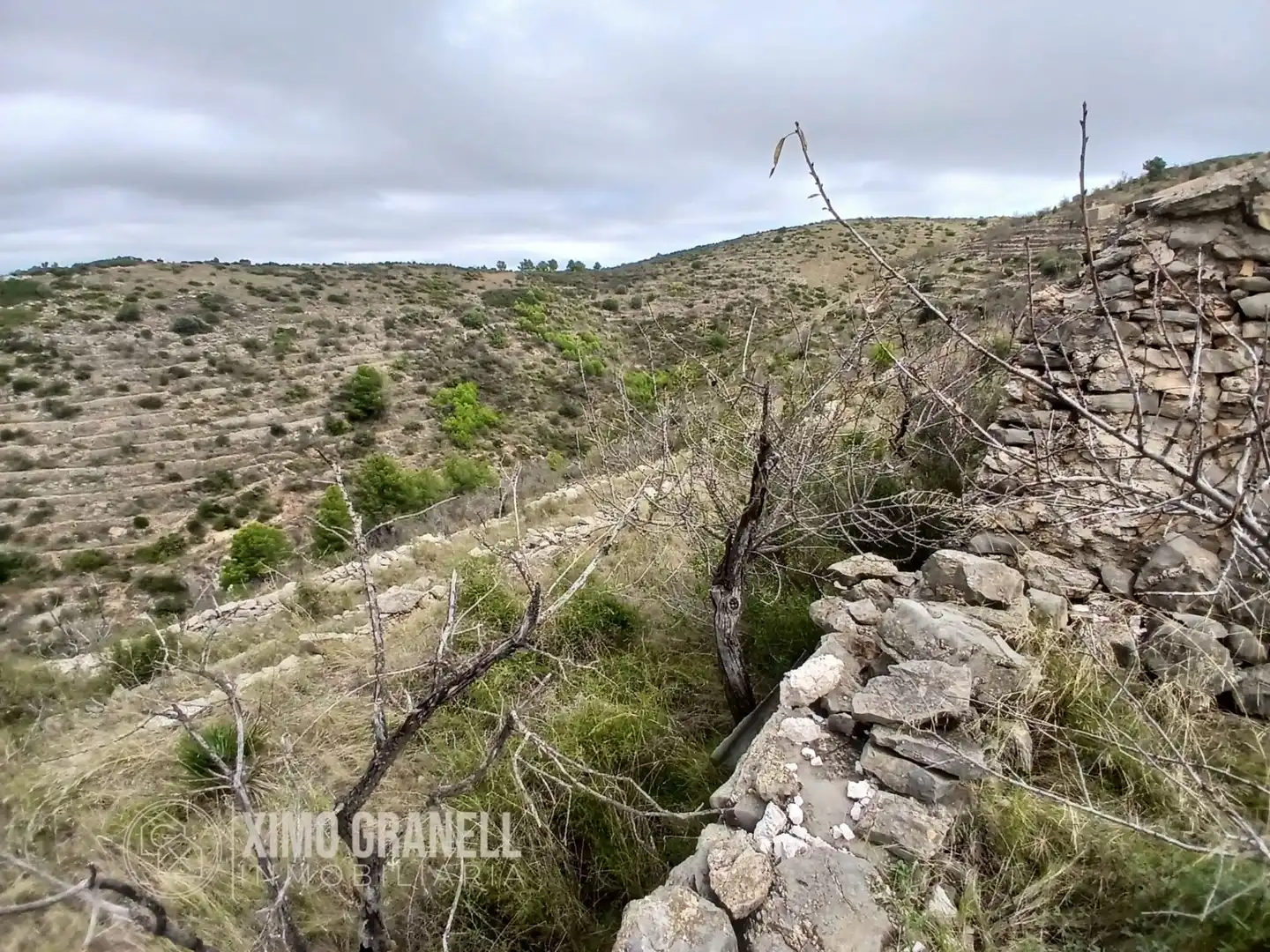 Terreny rústic en venda a La Vall d'Uixó, imagen 2