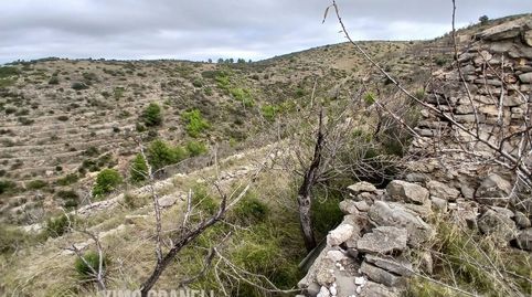 PARCELA RUSTICA DE 16.157m EN LA PARTIDA PEÑALBA DE LA VALL DUIXÓ, immagine 2