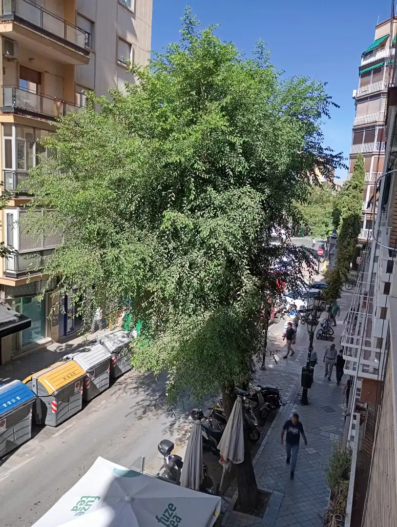 Casa con jardín en venta en Atarfe