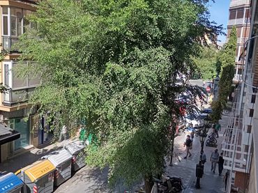 Haus mit Garten zum Verkauf in Mediterráneo - Ronda Lindaraja