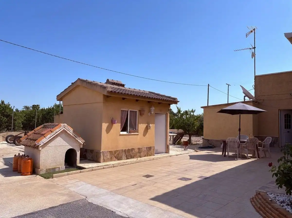 Exterior view of Houses for sale in Elche / Elx  with Swimming Pool