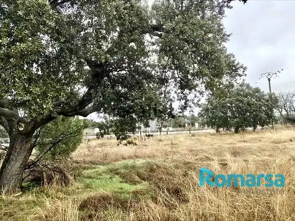 Terreni e lotti in vendita a Avenida de Las Estrellas, imagen 4