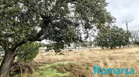 ESPECTACULAR TERRENO EN ZONA INMEJORABLE DE MAELLO, immagine 4