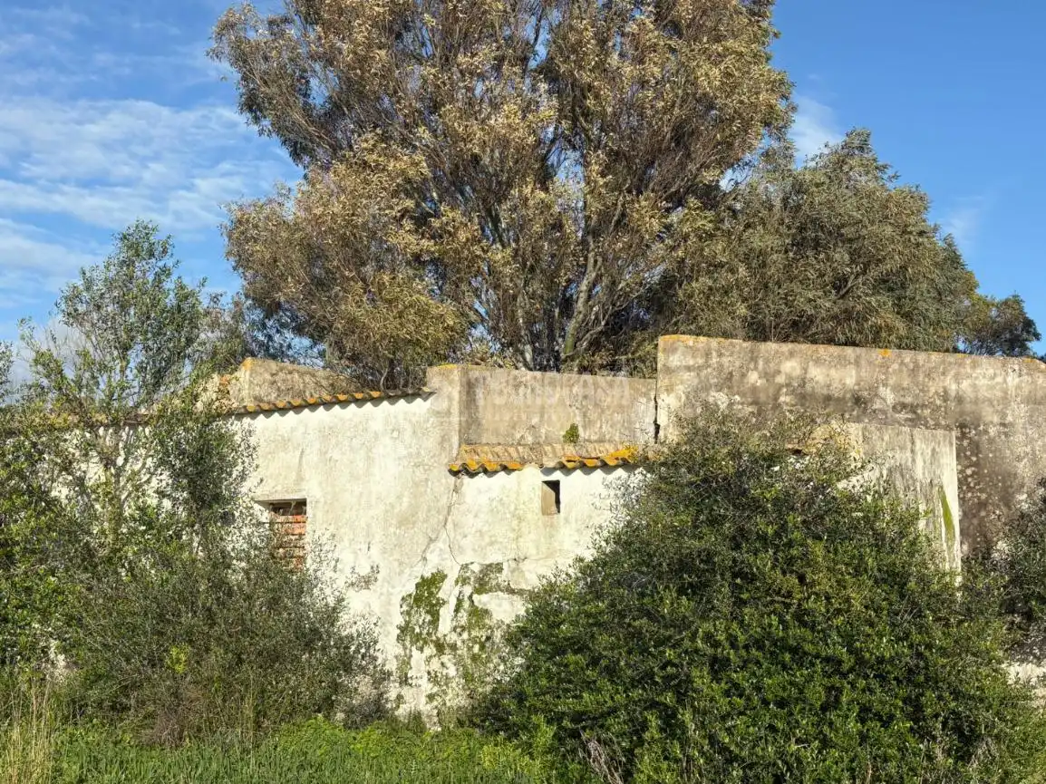 Terrain rustique à vendre à Vejer, imagen 15