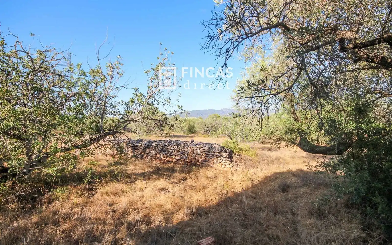 Country homes for sale in Xerta