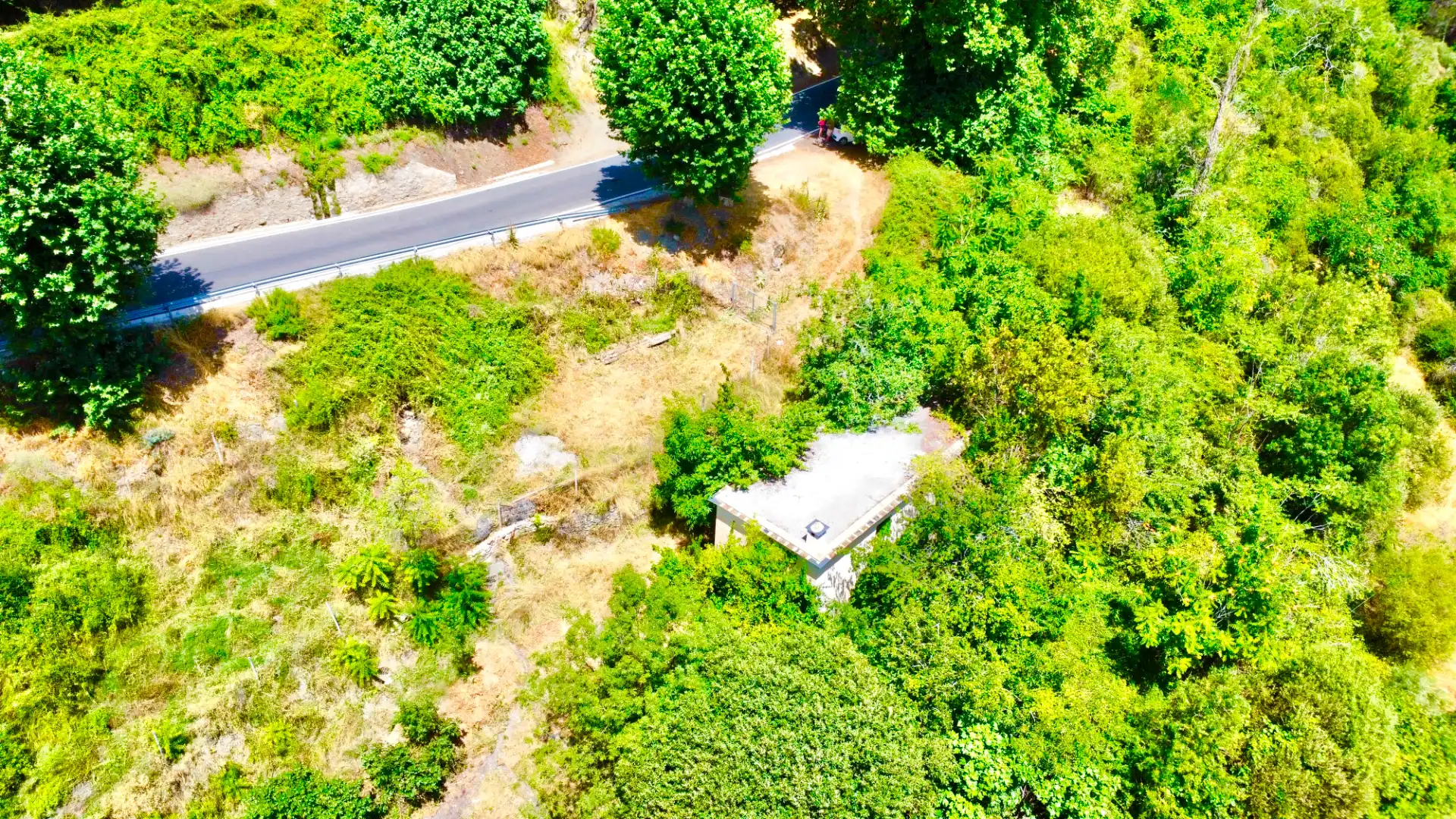 Finca rústica en venta en Alpujarra de la Sierra
